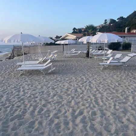 Agave Blu San Nicolò